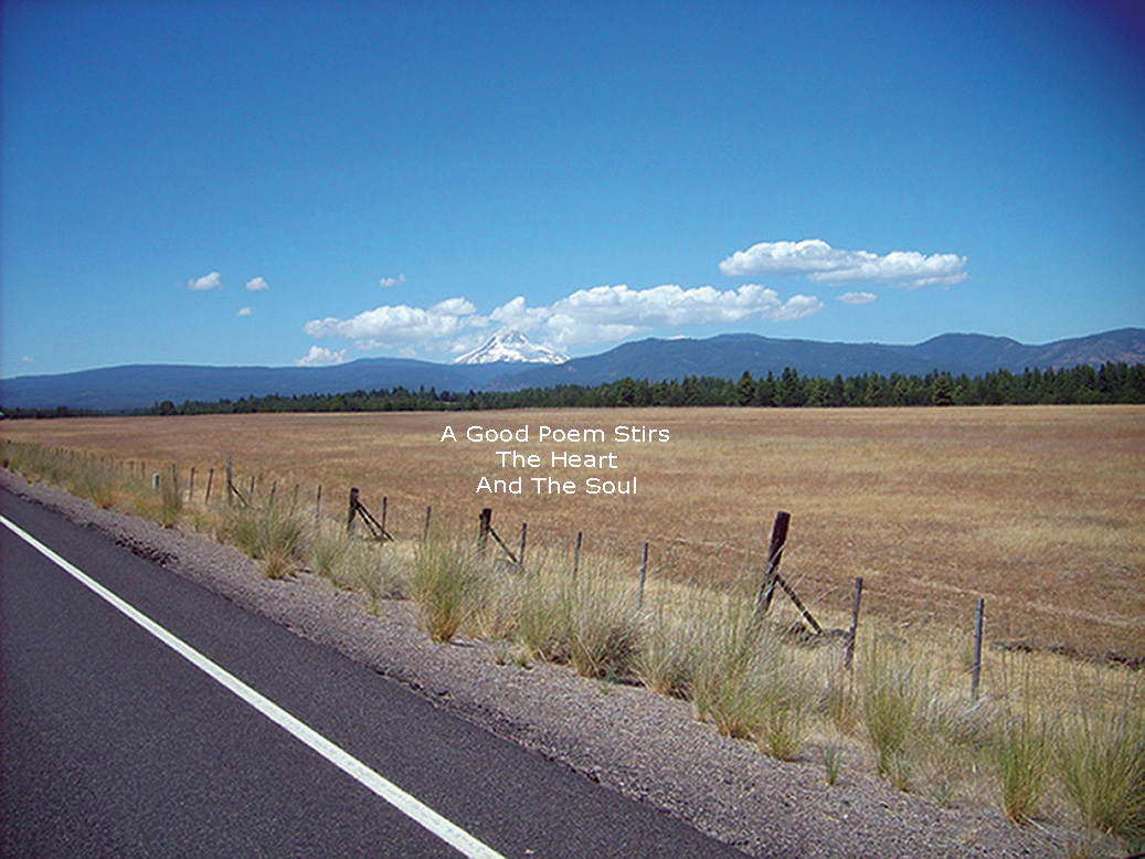 landscpe Mt. Hood wild card Image